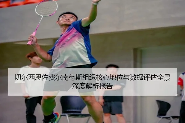 切尔西恩佐费尔南德斯组织核心地位与数据评估全景深度解析报告
